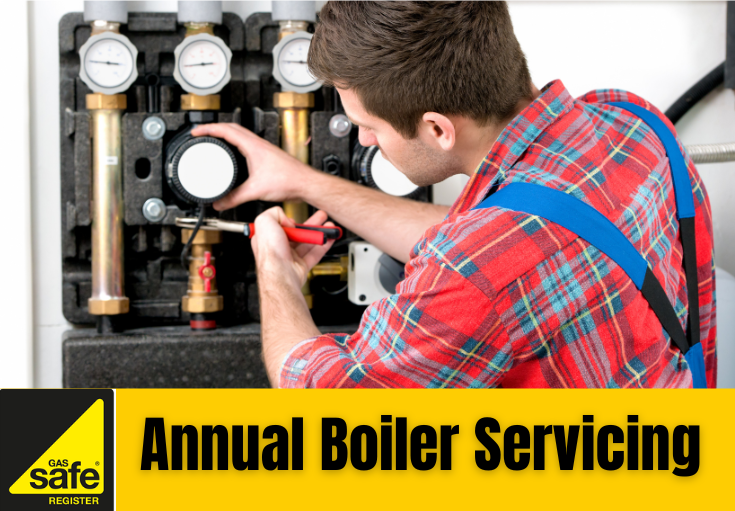 annual boiler servicing West Malling